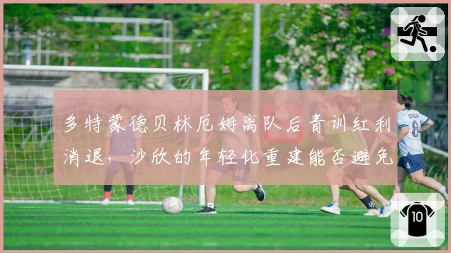 多特蒙德贝林厄姆离队后青训红利消退,沙欣的年轻化重建能否避免崩盘?