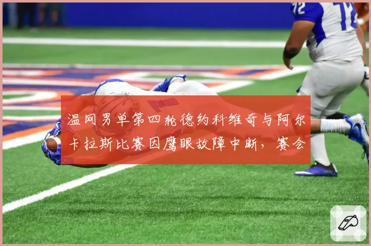 温网男单第四轮德约科维奇与阿尔卡拉斯比赛因鹰眼故障中断，赛会主席道歉