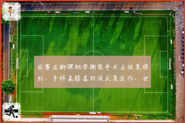 安赛龙脚踝韧带撕裂手术后恢复顺利，李梓嘉膝盖积液反复发作，世界第一争夺受康复进度影响
